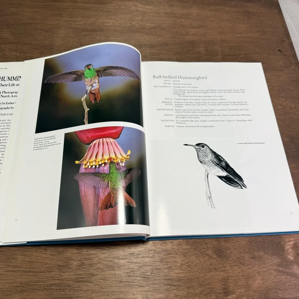 Vintage Hummingbird Photography Books Lot - Caribbean & North America Tyrell HC